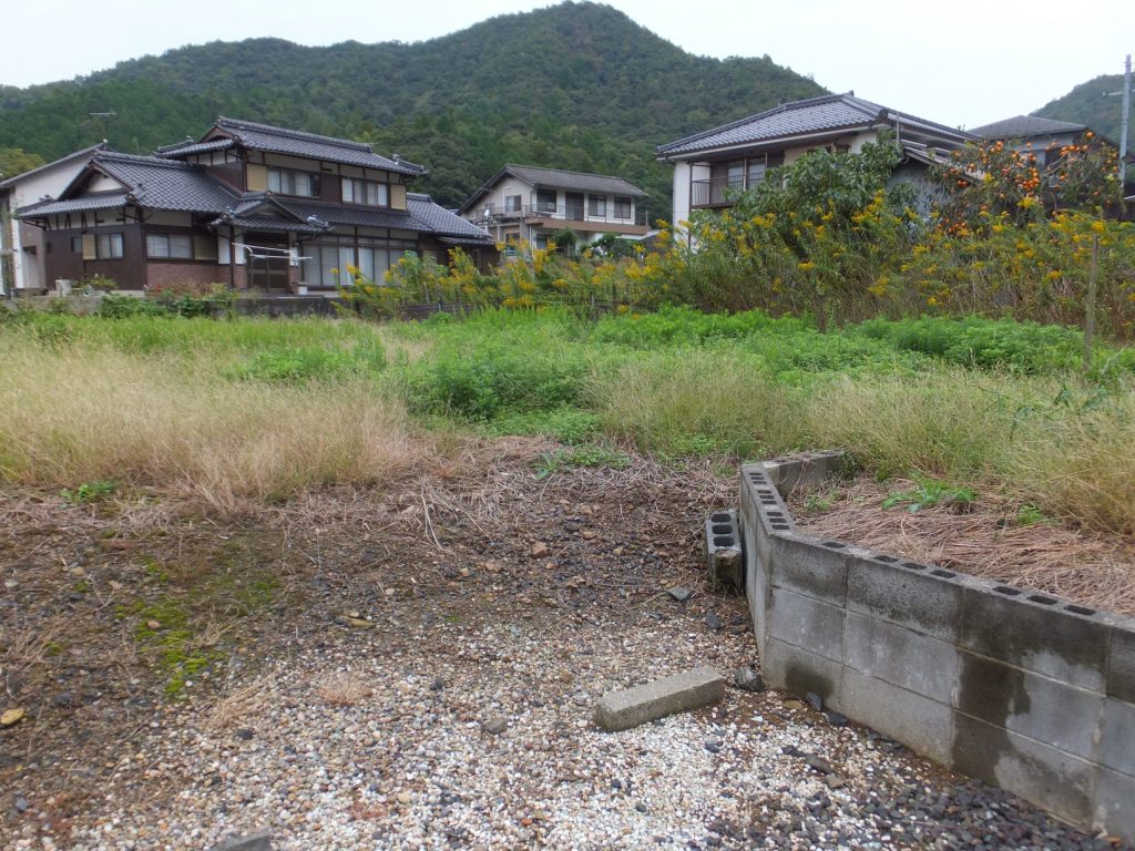 大波下10号地（借地）